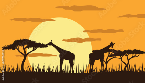 Giraffes in Savannah at Sunset Flat Style. Animals and exotic wildlife concept vector