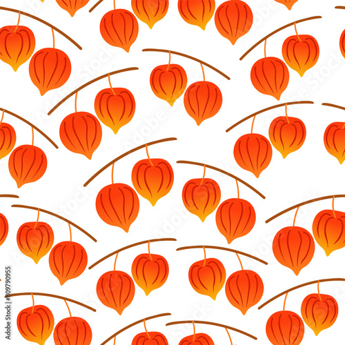 color isolated seamless pattern physalis in flat shape style in vector. template for backdrop textile wallpaper wrapping background print decor design