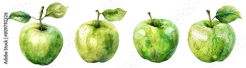 Watercolor green apple png set, collection photo