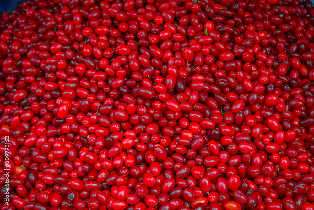 Cranberries are high in nutrients and antioxidants. They can provide various health benefits when eaten as part of a balanced diet. People may also consume cranberry juice or sauce. Cranberries are high in nutrients and antioxidants. They can provide various health benefits when eaten as part of a balanced diet. People may also consume cranberry juice or sauce.