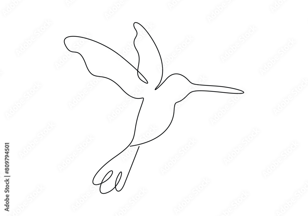 Humming bird continuous one line drawing vector illustration Humming bird continuous one line drawing vector illustration
