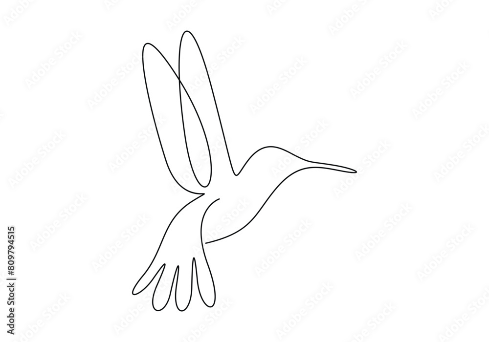 Fototapeta premium Humming bird continuous one line drawing vector illustration 