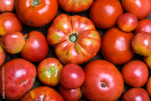 Bio tomatoes on farmer market. Farm fresh organic tomatoes background. © alicja neumiler