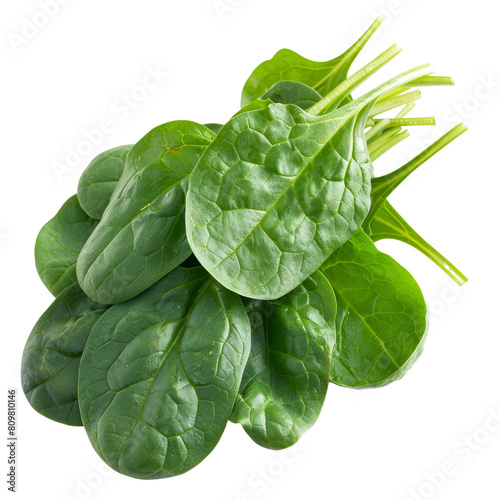 Vibrant spinach bunch isolated on transparent background, perfect for culinary arts and nutritional content