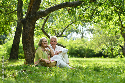 Portrait of a beautiful elderly couple in summer park