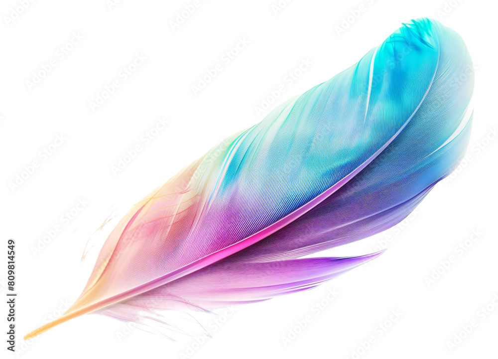 The model has rich colors, intense reflections on the feathers, transparent background. The model has rich colors, intense reflections on the feathers, transparent background.