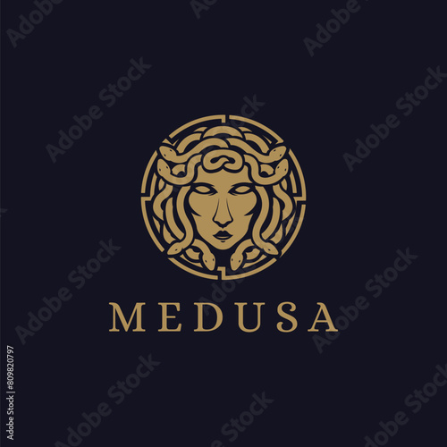 Head of Medusa goddess logo symbol vector on dark background