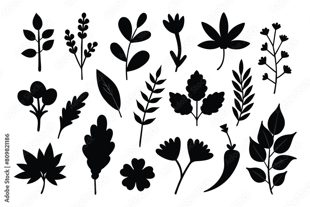 Doodle Herbs Vectors illustration
