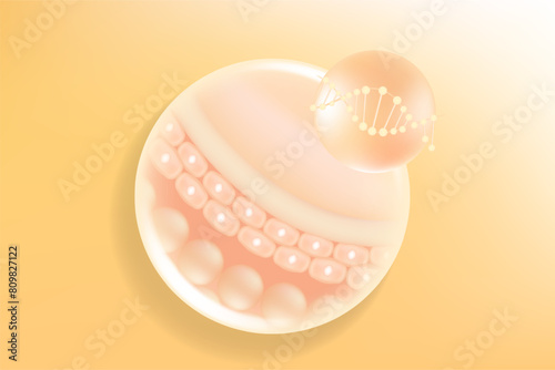 Hyaluronic acid and Niacinamide hair and skin solutions ad, gold collagen serum drop with cosmetic advertising background ready to use, illustration vector.