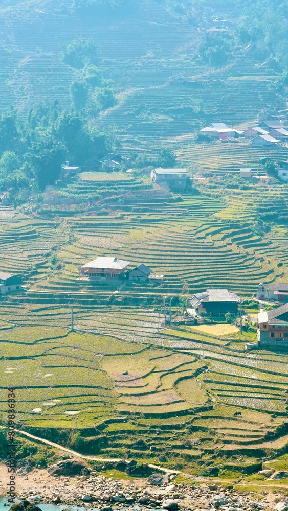 In Sapa, Vietnam, terraced rice fields cascade down the rolling hillsides, creating a mesmerizing landscape of vibrant greenery that stretches as far as the eye can see, offering a breathtaking glimp
In Sapa, Vietnam, terraced rice fields cascade down the rolling hillsides, creating a mesmerizing landscape of vibrant greenery that stretches as far as the eye can see, offering a breathtaking glimp
