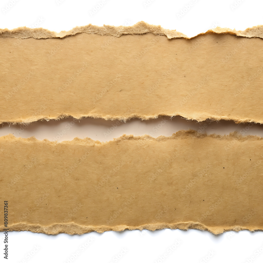Background torn paper texture
Background torn paper texture