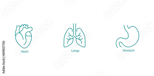  Comprehensive Organ Health and Medical Treatments Vector Icon Collection
