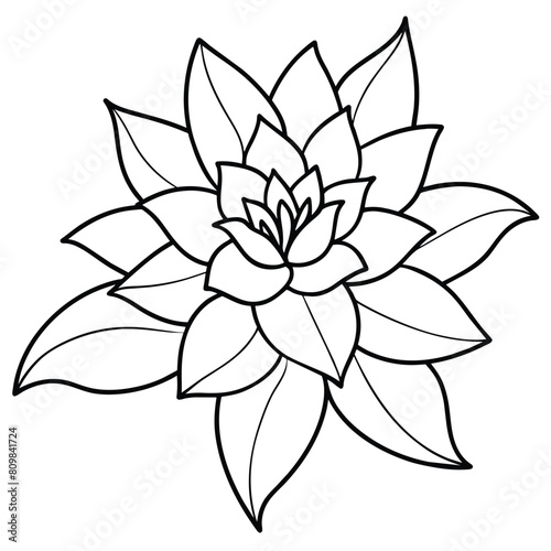 Hand drawn Doodle flowers. Vector illustration design