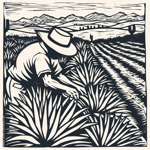 Emblem with a Mexican peasant working on an agave plantation, vector illustration
