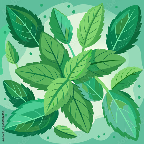 Mint leaves background.