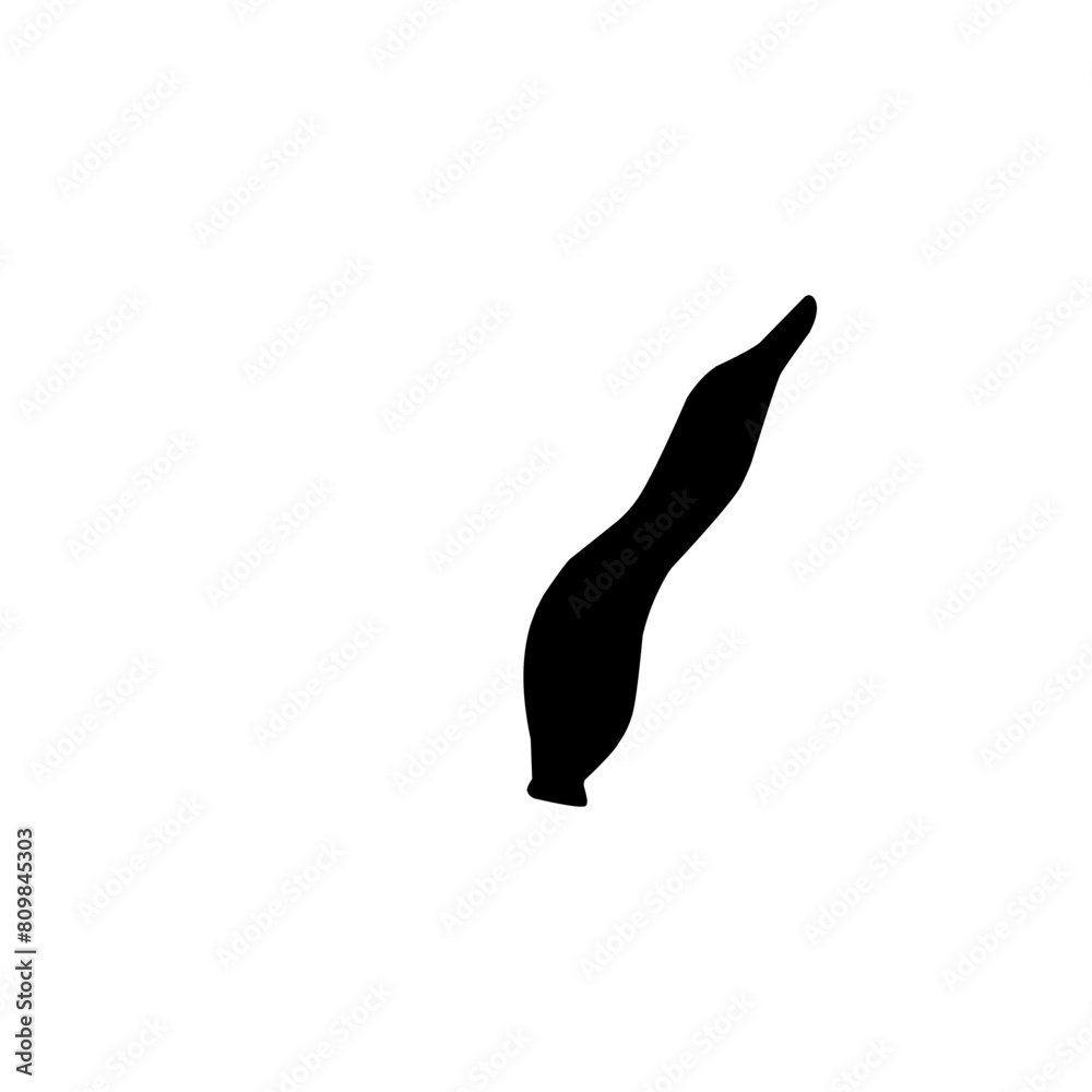 Leech Silhouette Leech Silhouette