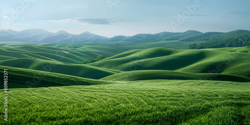 Expansive Green Wheat Fields with Distant Hills