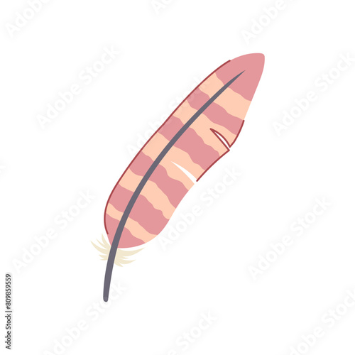 flying feather exotic bird cartoon. parrot drawing, color nature, plumage wing flying feather exotic bird sign. isolated symbol vector illustration