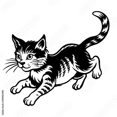 Black and white of a cat, presented in a clear, vector style suitable for various graphic uses.