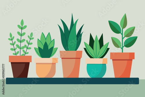 A variety of green houseplants in colorful pots on a shelf