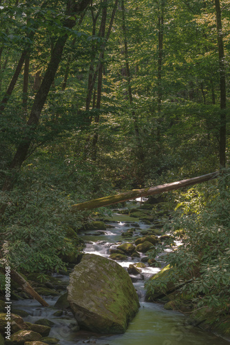 Little Santeelah Creek in the Joyce Kilmer Memorial Forest, North Carolina photo