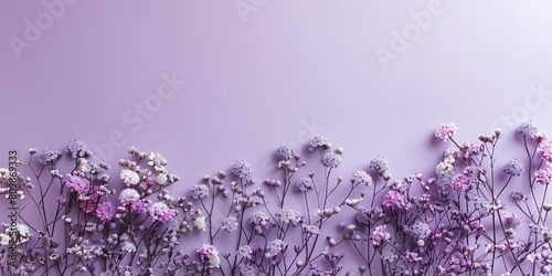 Purple asters and babys breath form a gentle border along the top of a lavender background, offering copy space below for a Valentines Day greeting