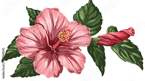 Hibiscus flower in bloom retro vintage style. Detaile