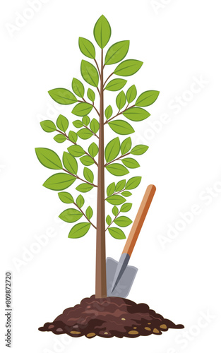 Tree. A young garden plant. A shovel is sticking out of the ground. Illustration used for collage and web design. Theme garden and vegetable garden, agronomy, ecology, hobby, agriculture.