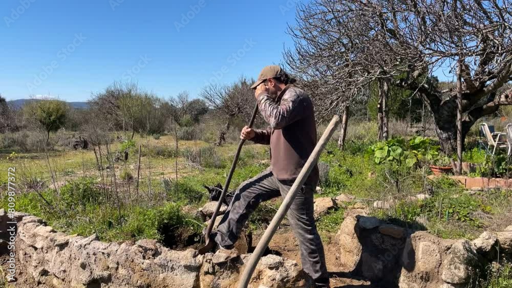 We see a Caucasian man with a cap and a long-handled shovel emptying soil from a deep raised bed on a rural farm on a sunny winter morning with a blue sky in Avila Spain We see a Caucasian man with a cap and a long-handled shovel emptying soil from a deep raised bed on a rural farm on a sunny winter morning with a blue sky in Avila Spain