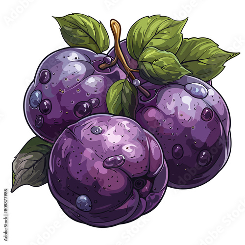 Jambolan Plum Flat Colors Cartoon Icon, Isolated Transparent Background Images photo