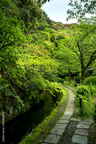 Obraz na płótnie The Philosopher's Path, a canal and walkway in the city of Kyoto during the late spring w salonie