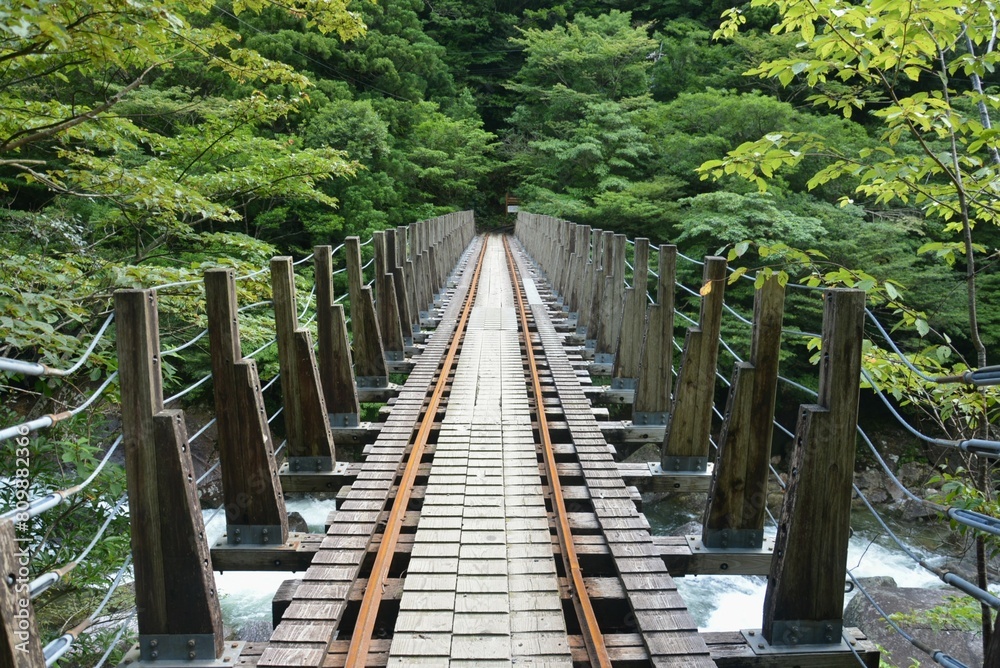 屋久島のトレイル