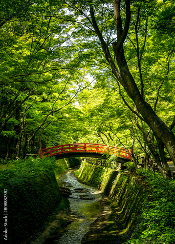 A traditional Japanese vermillion red bridge crossing a stream in a forest in Kyoto