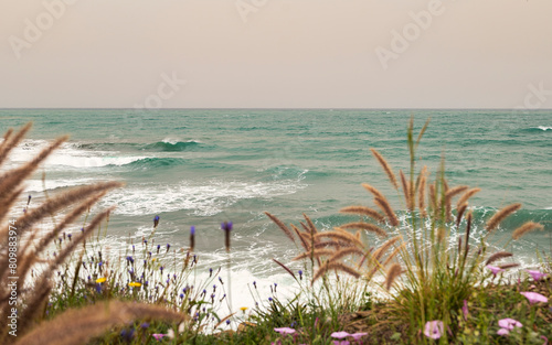 Seascape in spring, in the foreground a lawn with flowers out of focus and in the background the Mediterranean sea with waves breaking on the shore.