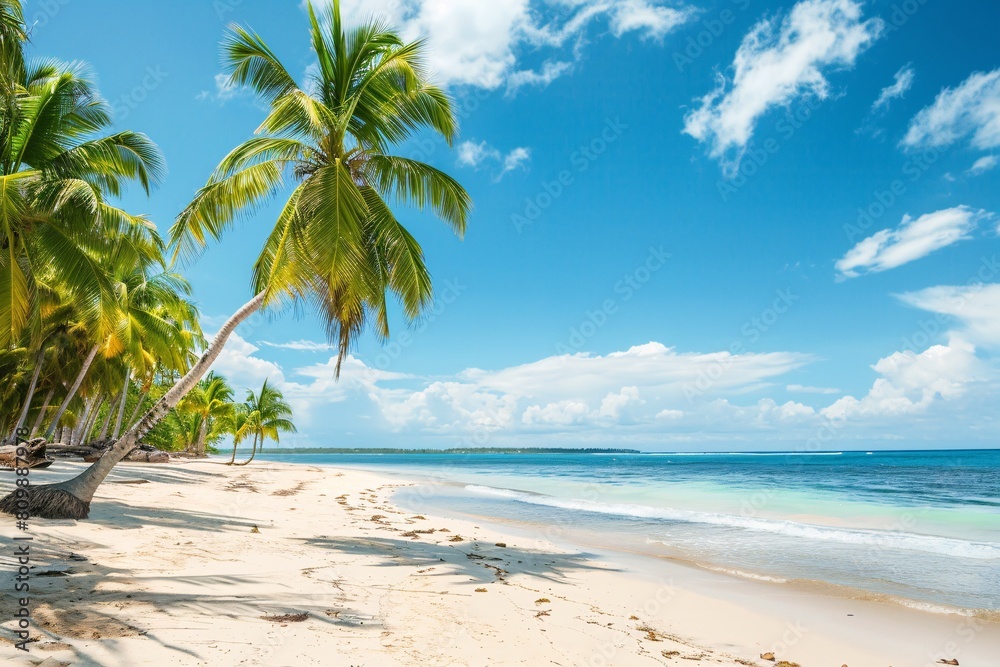 Obraz premium An idyllic beach scene with palm trees, white sands, and clear blue waters