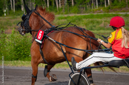 Equestrian sport. Harness racing. Horse race at hippodrome. Horses compete in harness racing.