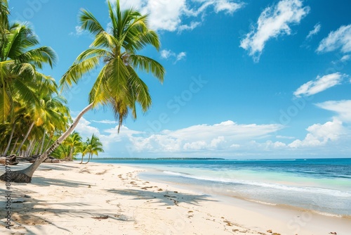An idyllic beach scene with palm trees, white sands, and clear blue waters