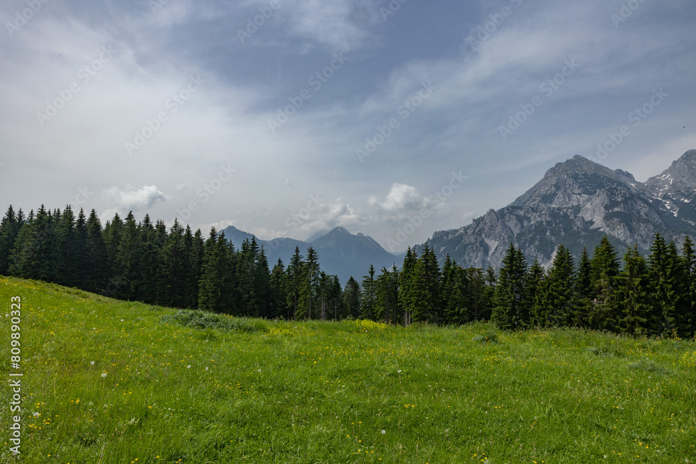 ampia visuale panoramica che mostra un ambiente naturale di montagna nel nord est Italia, visto da un prato fiorito, di pomeriggio, in estate, sotto un cielo nuvoloso