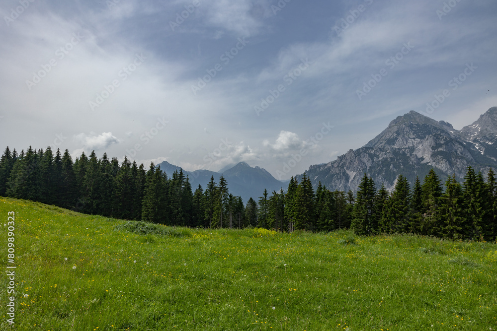 ampia visuale panoramica che mostra un ambiente naturale di montagna nel nord est Italia, visto da un prato fiorito, di pomeriggio, in estate, sotto un cielo nuvoloso ampia visuale panoramica che mostra un ambiente naturale di montagna nel nord est Italia, visto da un prato fiorito, di pomeriggio, in estate, sotto un cielo nuvoloso