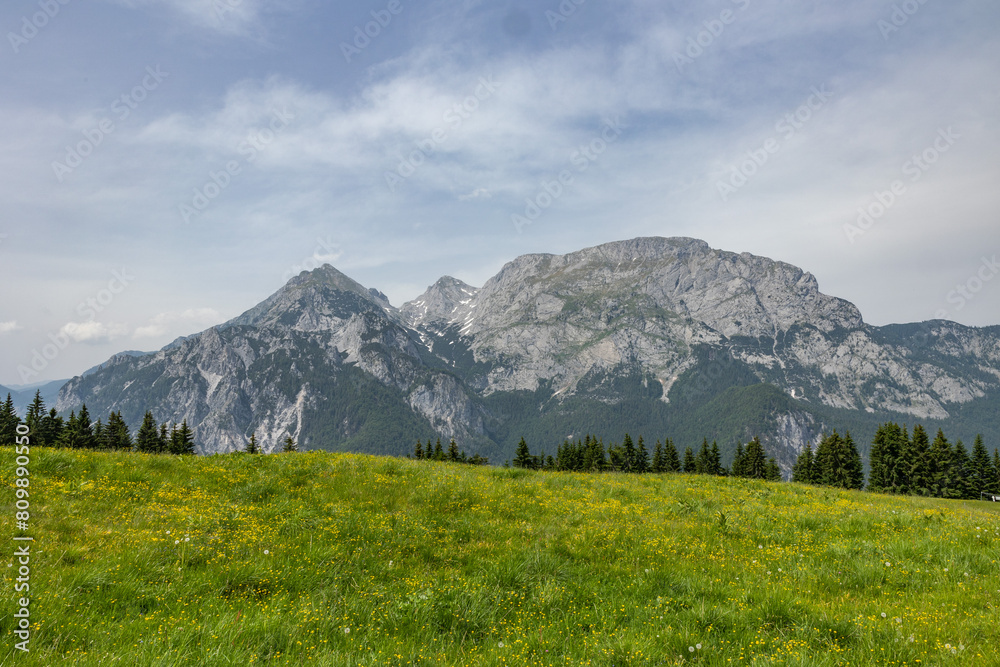 Fototapeta premium visuale panoramica su un ambiente naturale di montagna che si estende da un prato verde, ricco di fiori gialli, fino ad una catena di montagne distante, sotto un cielo parzialmente nuvoloso, in estate