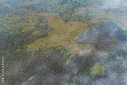 Photo background texture, shallows in the Baltic sea, bottom with algae. View from a drone.