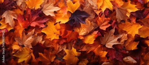 A pile of autumn leaves falling providing a perfect copy space image