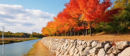 Autumn view of a dyke with a background of colorful foliage leaving ample copy space image photo