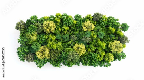 A top down view of a dense forest of various shades of green.