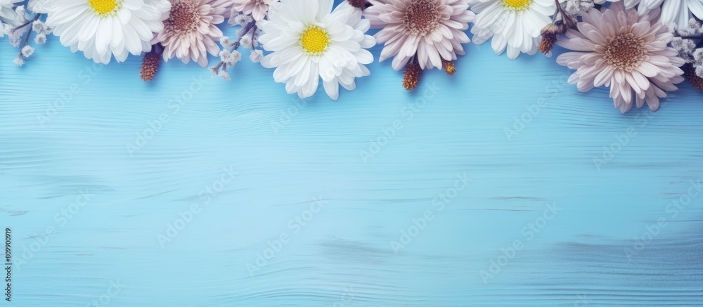 Obraz premium Autumn flowers beautiful asters on a light blue wooden background with copy space image Flat lay
