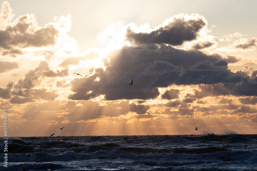 Beautiful sunset at the beach. With some flying seagulls. And rays of sunlight