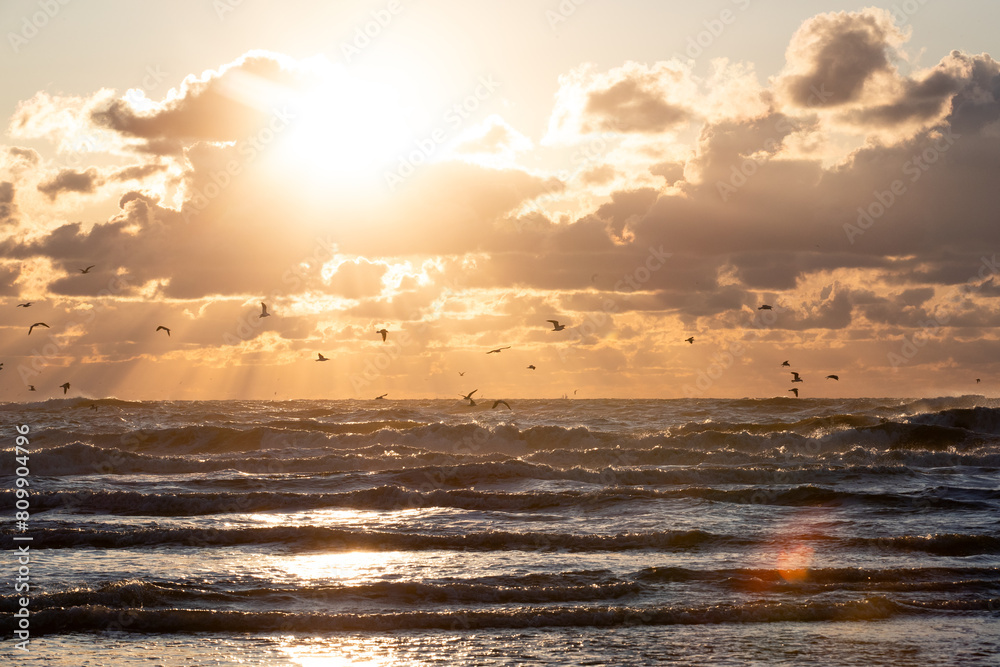 Beautiful sunset at the beach. With some flying seagulls. And rays of sunlight