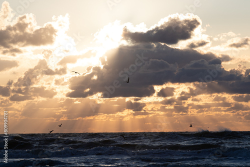 Obraz na płótnie Beautiful sunset at the beach. With some flying seagulls. And rays of sunlight w salonie