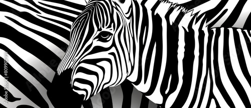 Zebra skin texture. Wild Animal print. Black and white stripes.Trendy abstract background. Generative ai