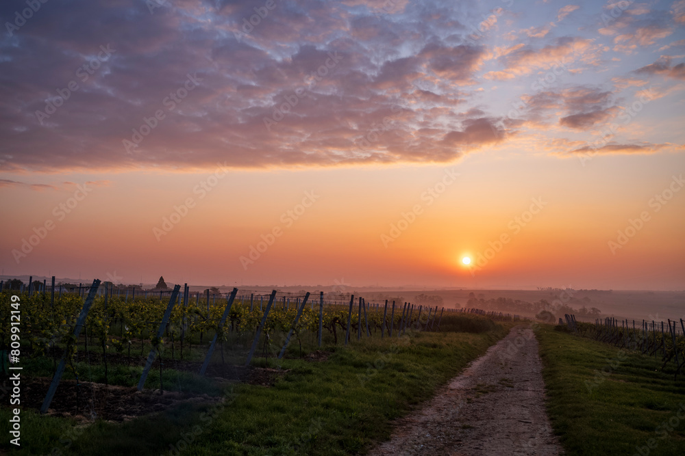 sunrise over the field